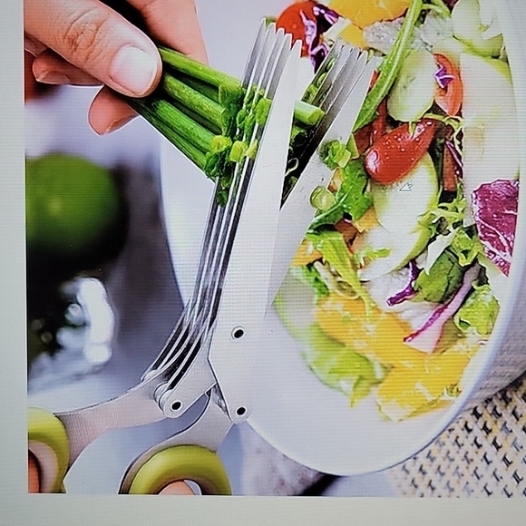 Herb scissors w/ 5 heavy duty stainless steel blades lettuce parsley pepper New… - Picture 1 of 12